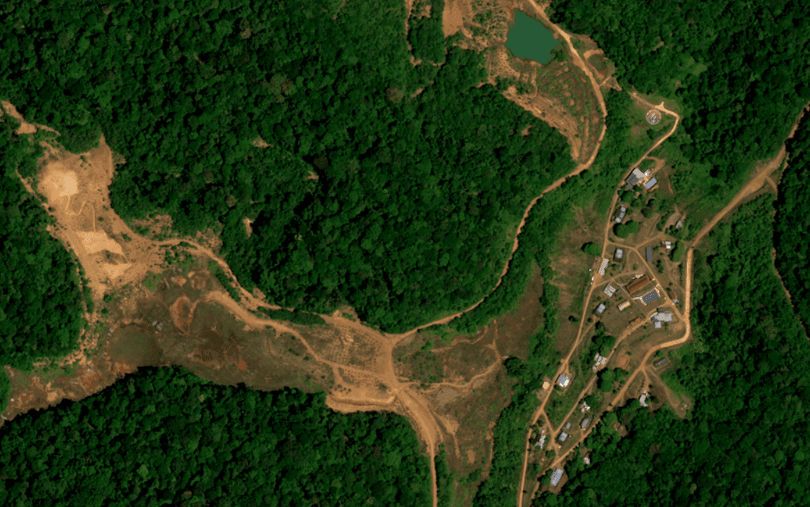Déforestation